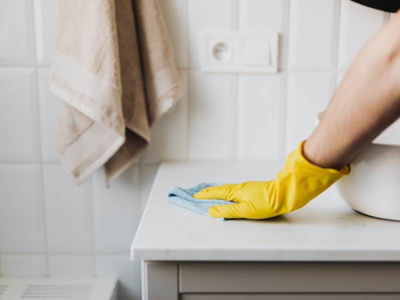 Domestic helper的角色和責任